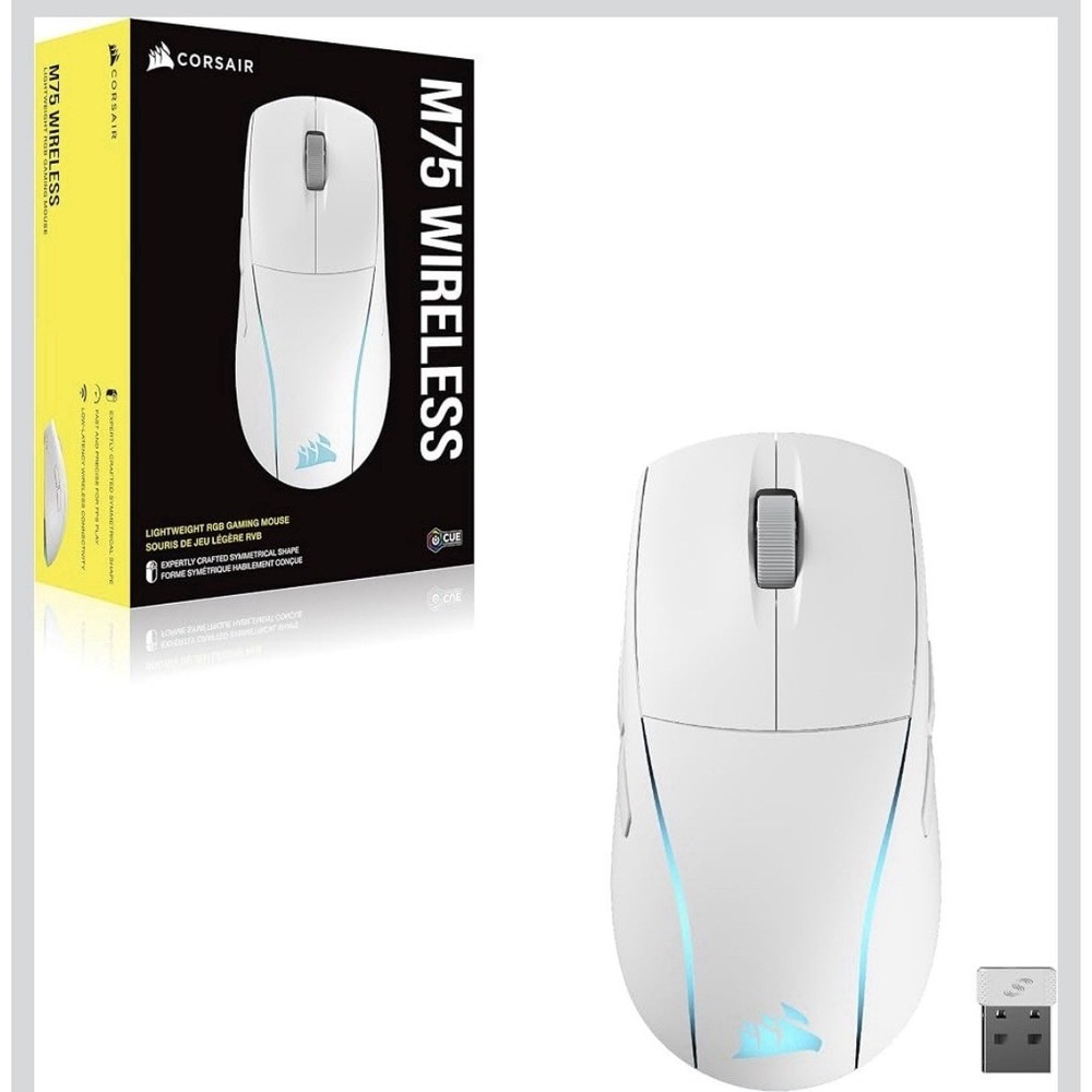 12N31/ Corsair M75 Wireless RGB Lightweight FPS Gaming Mouse  – Swappable